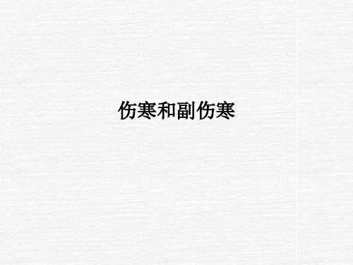 伤寒和副伤寒PPT课件