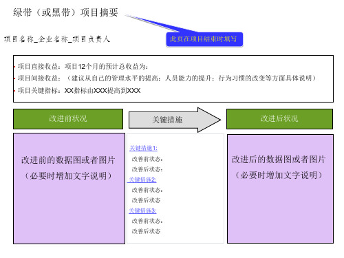 最新六西格玛项目报告模板精选