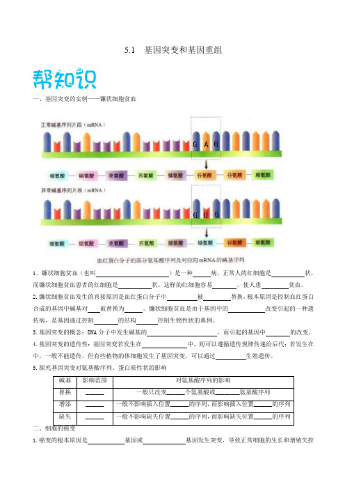 5.1  基因突变和基因重组-高一生物同步课堂(人教版2019必修2)