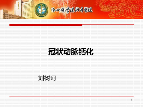 冠脉钙化PPT课件
