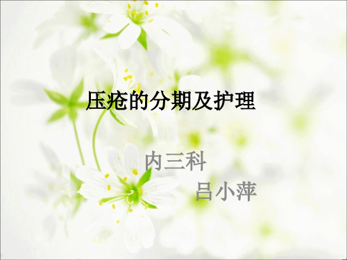 压疮的分期及护理ppt课件