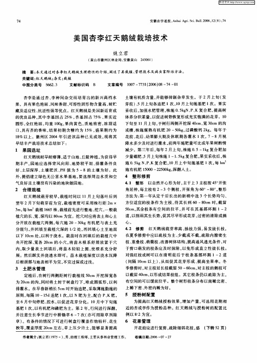 美国杏李红天鹅绒栽培技术