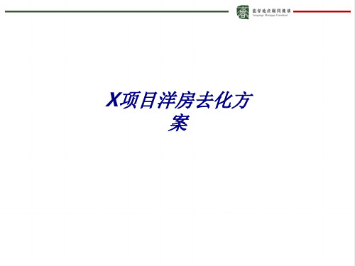 X项目洋房去化方案专题培训课件