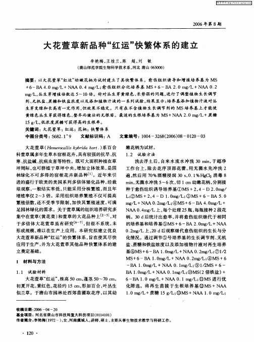 大花萱草新品种“红运”快繁体系的建立