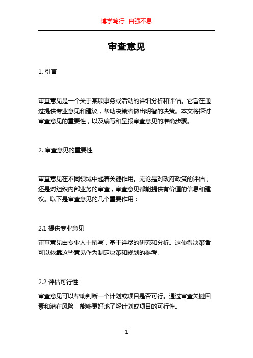 审查意见_精品文档