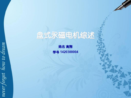 盘式永磁电机综述
