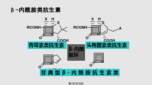 药理学青霉素类PPT课件