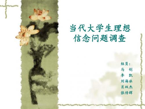 当代大学生理想信念问题调查