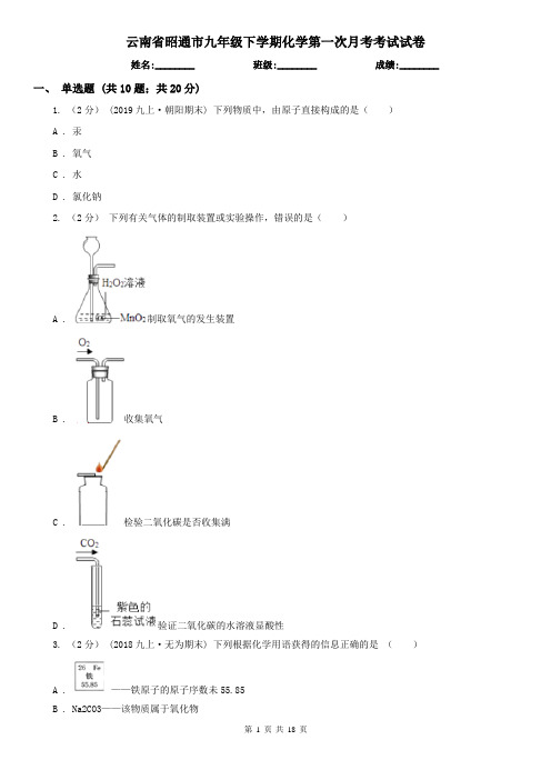 云南省昭通市九年级下学期化学第一次月考考试试卷