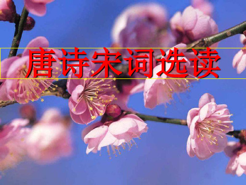 《唐宋诗词选读》PPT课件