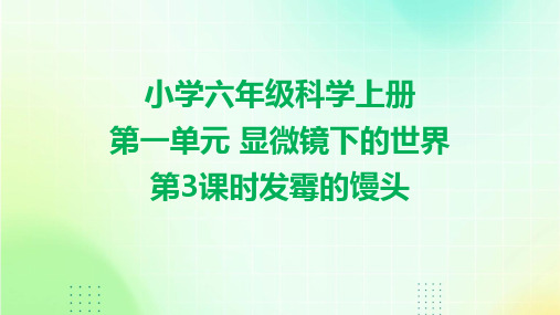 小学六年级科学上册第一单元 显微镜下的世界 第3课时发霉的馒头