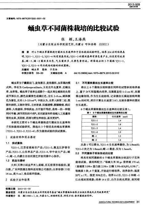 蛹虫草不同菌株栽培的比较试验