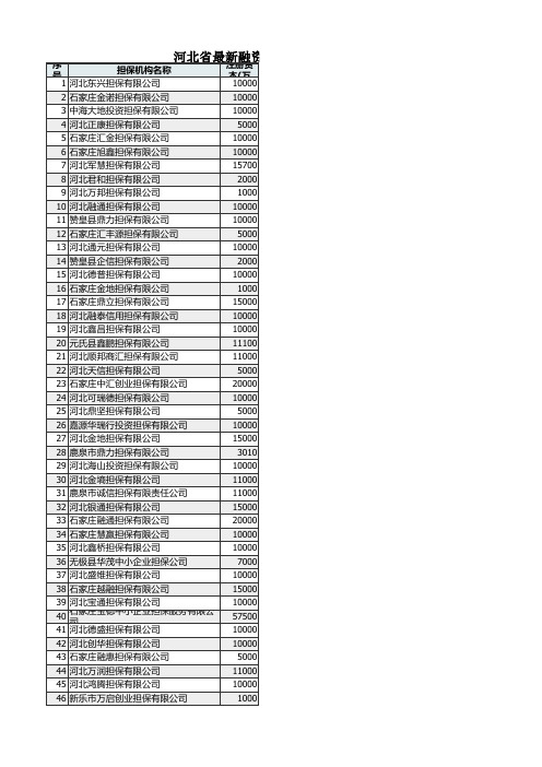 河北省最新融资性担保公司名录