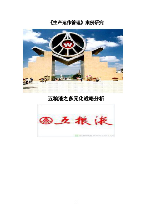五粮液之多元化战略分析 精品