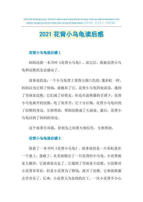 2021花背小乌龟读后感