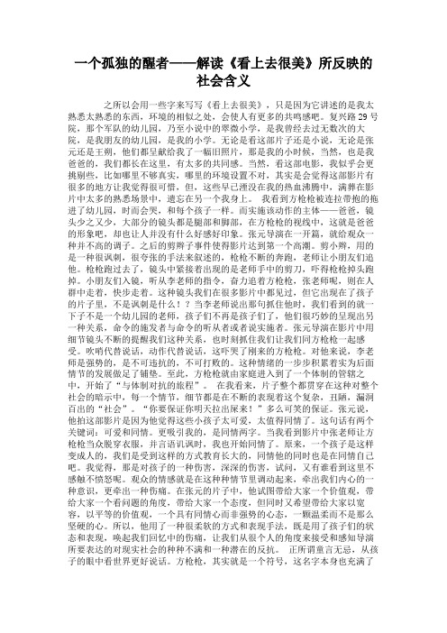 一个孤独的醒者——解读《看上去很美》所反映的社会含义
