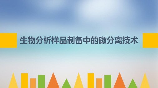 生物分析样品制备中的磁分离技术：综述