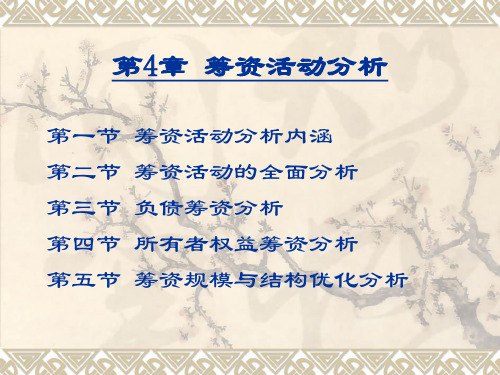 第4章 筹资活动分析
