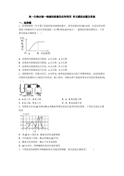 高一生物必修一细胞的能量供应和利用 单元模拟试题及答案