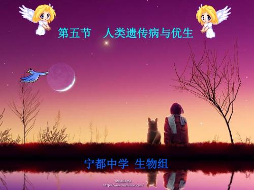 人类遗传病与优生ppt15