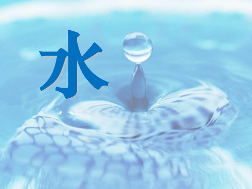 教科版三年级上册科学 《水》水和空气PPT教学课件3