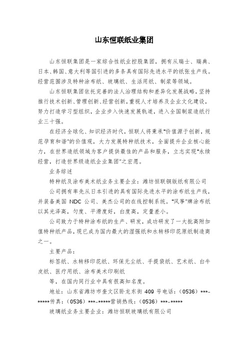 山东恒联纸业集团