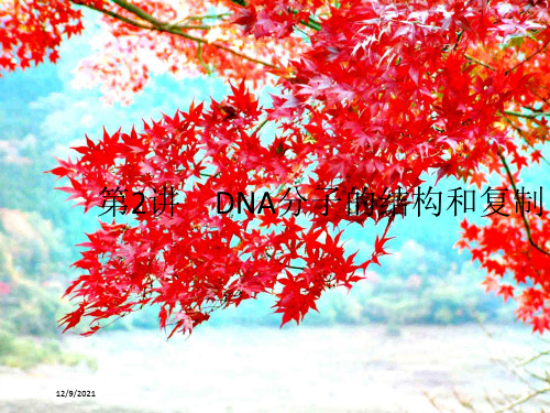 高考生物一轮复习2dna分子的结构和复制课件高三生物课件