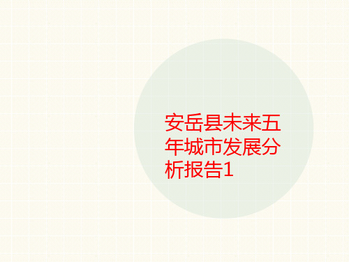 安岳县未来五年城市发展分析报告1