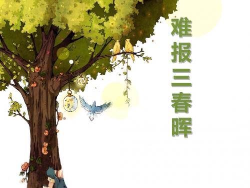 1.1 第三框 难报三春晖 课件(人教版八年级上)