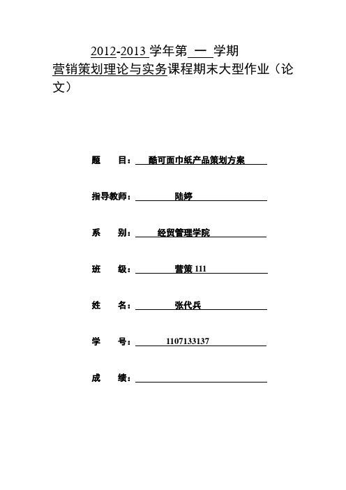 营销策划期末作业