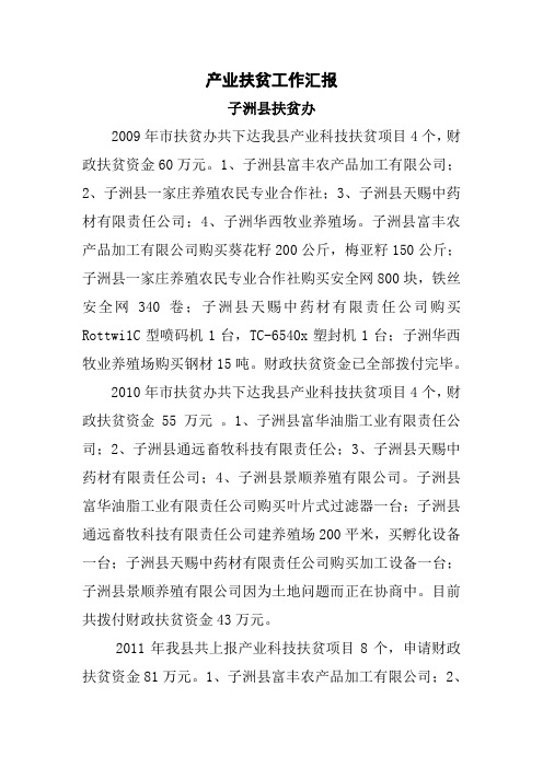 产业开发汇报