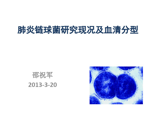 肺炎链球菌研究现况及血清分型
