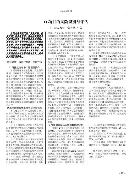 D项目的风险识别与评估