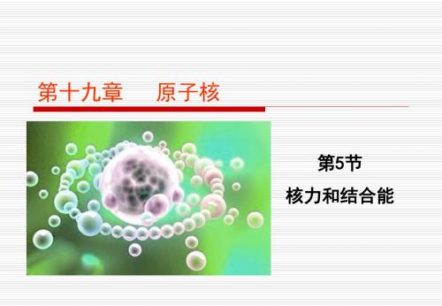 第十九章原子核第5节核力与结合能【公开课教学PPT课件】高中物理