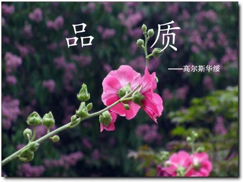 《品质》11