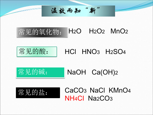 常见的盐 教学课件
