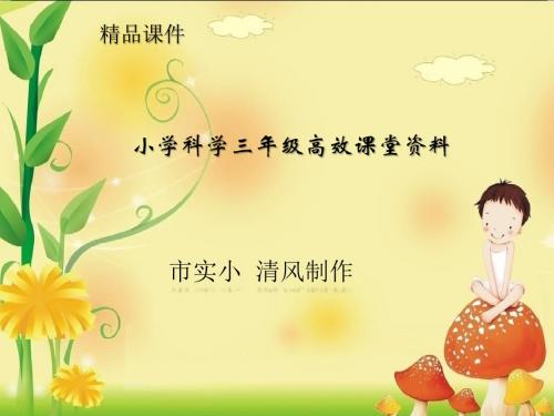小学科学青岛版三年级上册高效课堂资料15  天气与生活课件