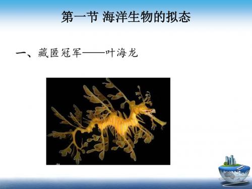 海洋生物独特的生存方式