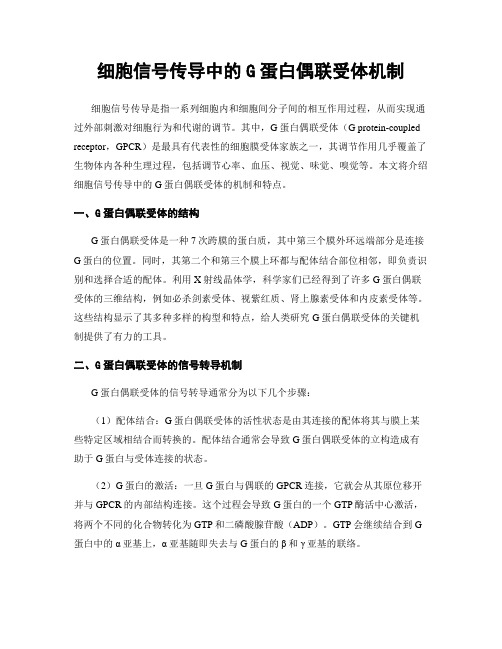 细胞信号传导中的G蛋白偶联受体机制