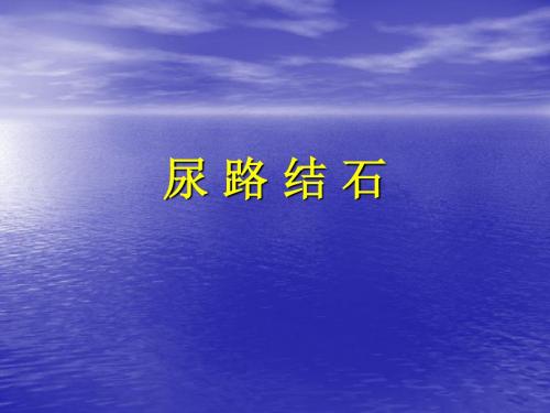 《尿路结石》PPT课件