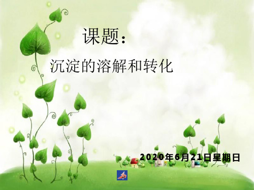 沉淀的溶解和转化复习PPT教学课件