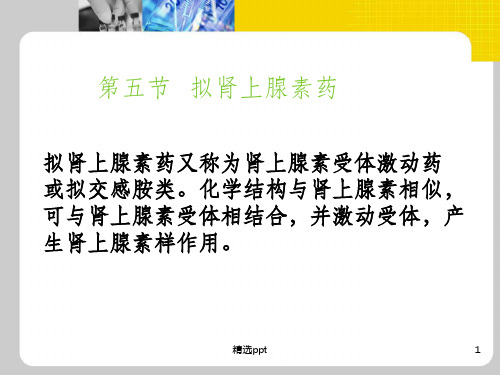 肾上腺素pptPPT课件
