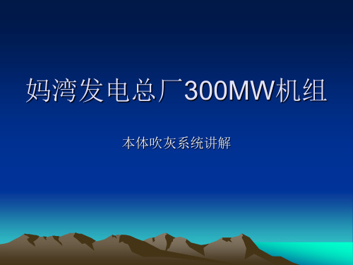 锅炉本体吹灰系统