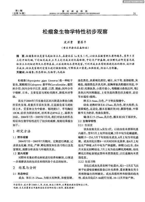 松瘤象生物学特性初步观察
