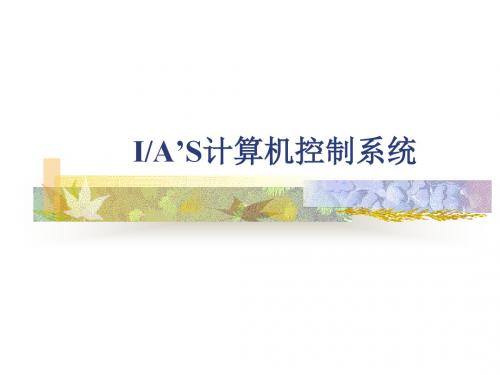 IA控制系统解读