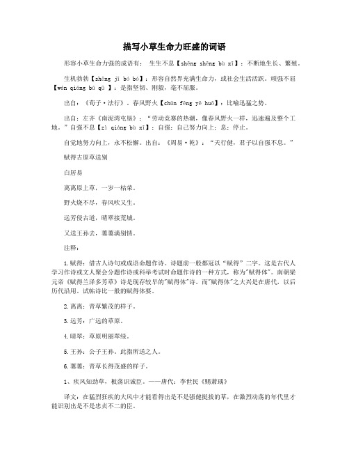描写小草生命力旺盛的词语