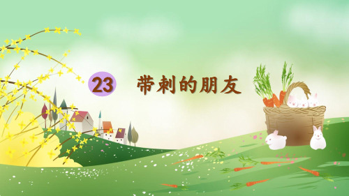 三上语文《带刺的朋友》教学课件
