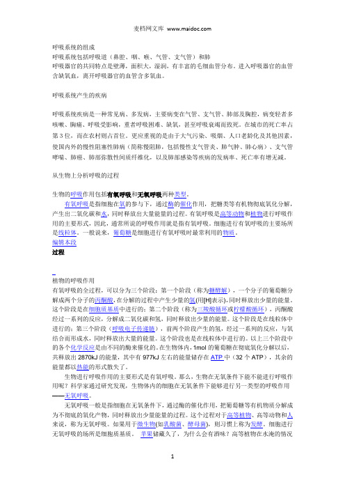 呼吸系统的组成