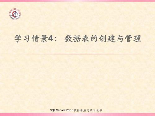 SQL Server 2005数据库应用项目教程--学习情景4
