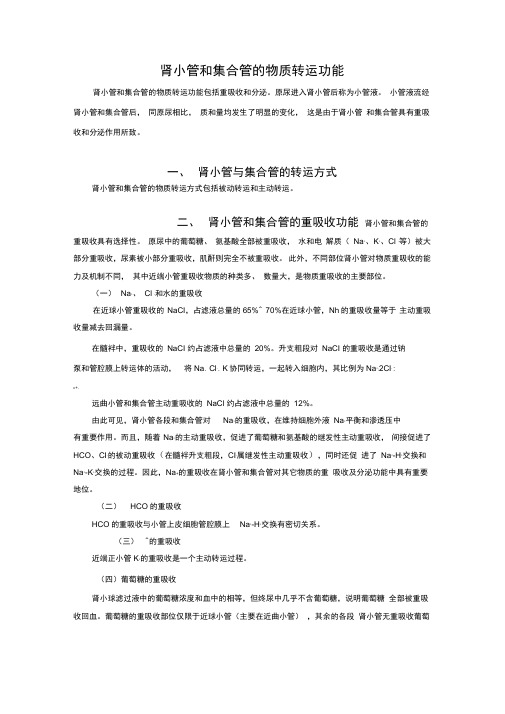 肾小管和集合管的物质转运功能
